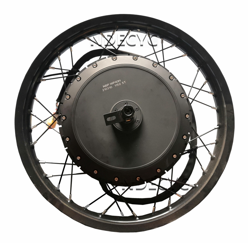 Motor Sepeda Listrik NBpower/Q - Qs Motor 273 8000W Hub Motor ulasan dan harga